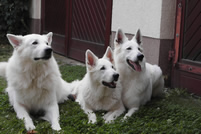 Antayo, Keona, Coralie